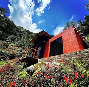 Free WiFi - Finca Montaña Magica (Floridablanca)