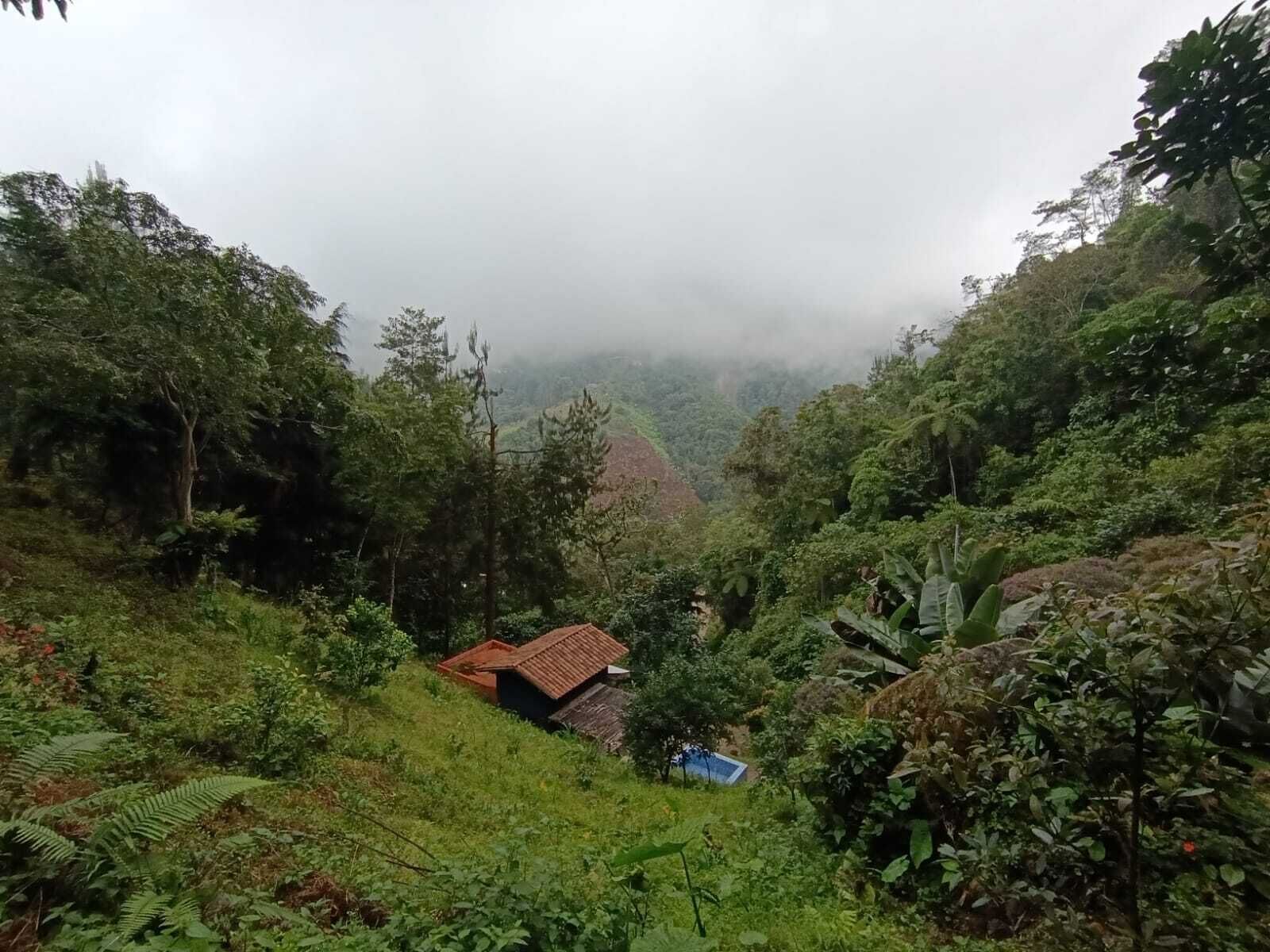 Ländliche Landschaft mit einem kleinen Haus an einem Hügel, umgeben von dichter Vegetation und einem Tal im Hintergrund.