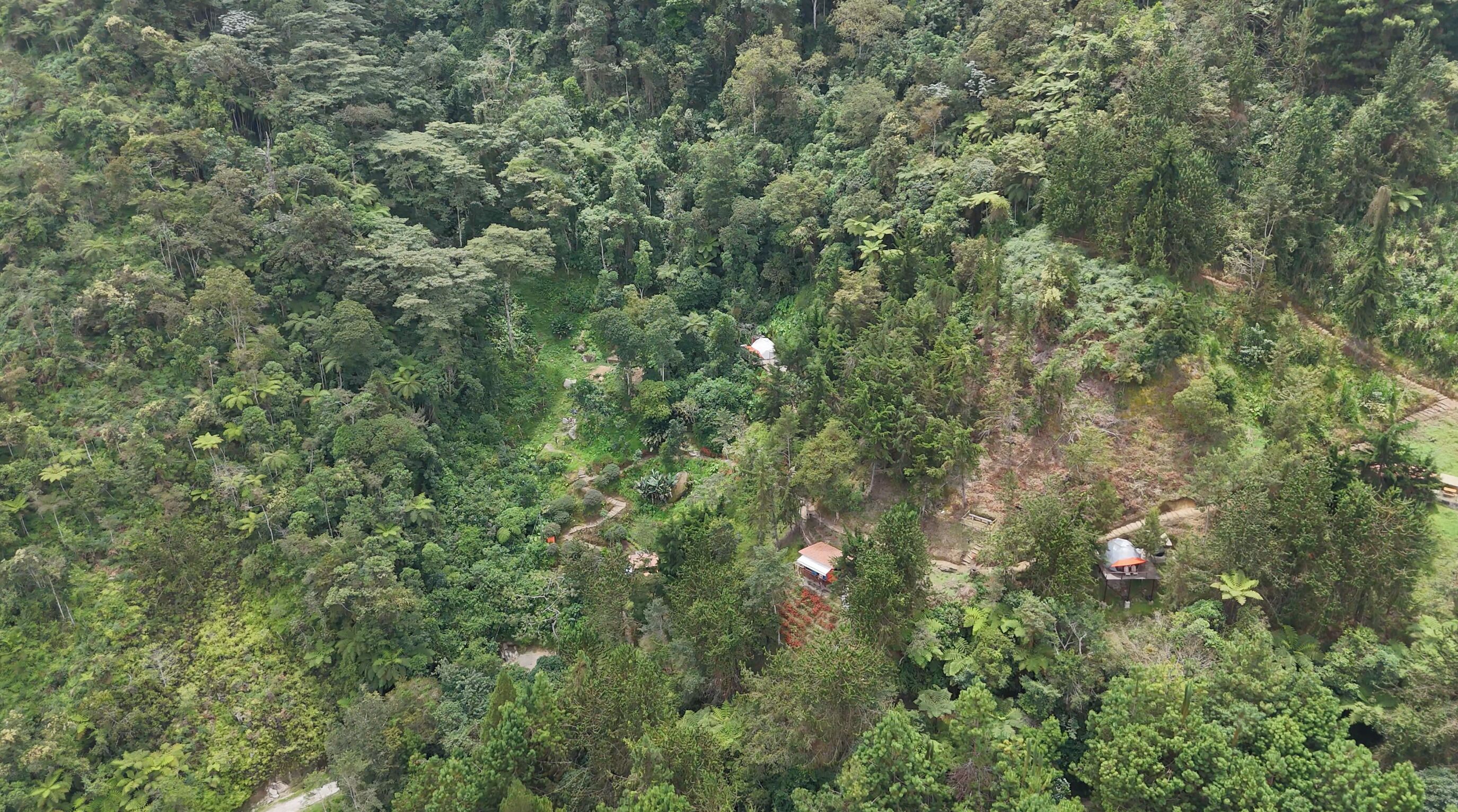 Une forêt dense, parsemée de quelques bâtiments isolés.