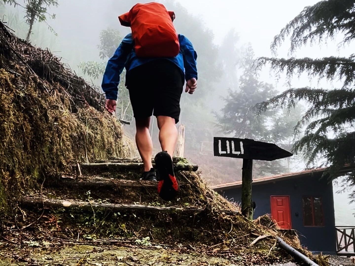 Eine Person steigt eine Holztreppe in einem bewaldeten Gebiet hinauf, neben der ein Schild mit dem Schriftzug 'LILI' steht.