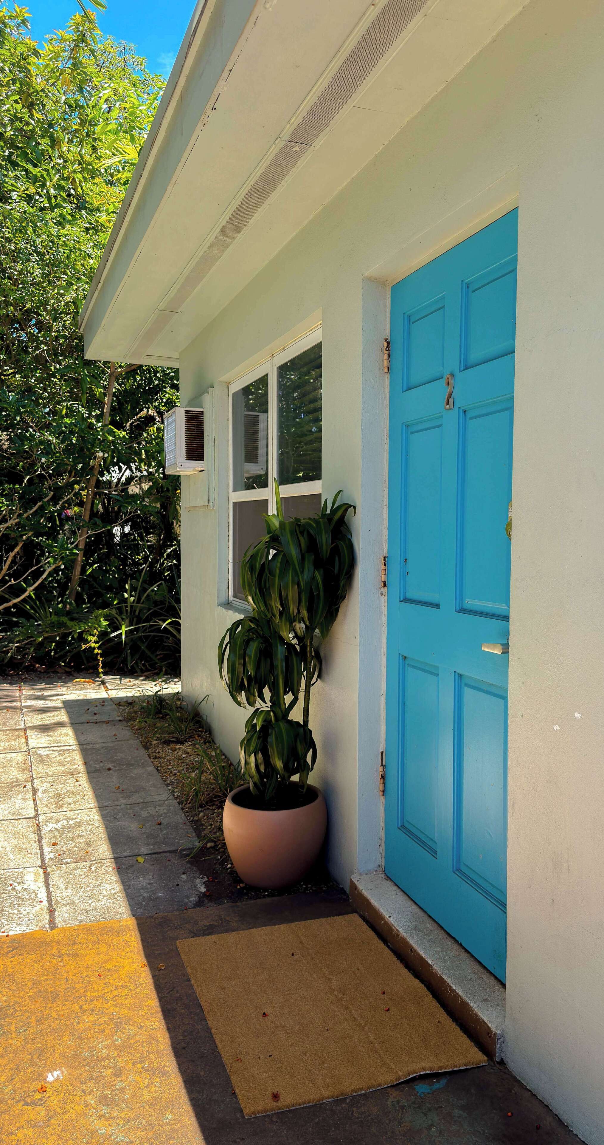 A house with a blue door, a potted plant, and an air conditioning unit.