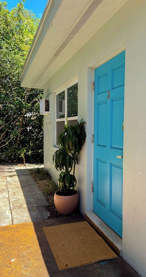 Una casa con puerta azul, una planta en maceta y un equipo de aire acondicionado.