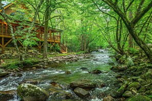 Property grounds - NEW! Elk Rapids on Cosby Creek (Cosby)