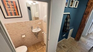 Secadora de cabello, toallas, papel de baño