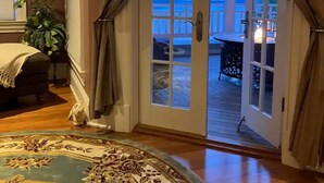 Ein Zimmer mit einem großen Fenster, Holzboden, einem gemusterten Teppich und Blick auf eine Terrasse.