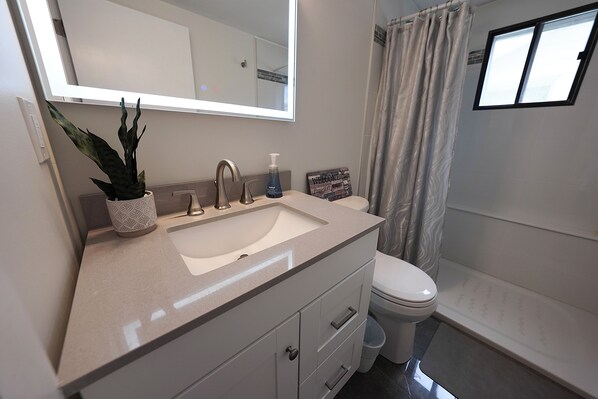 Shower, soap, toilet paper
