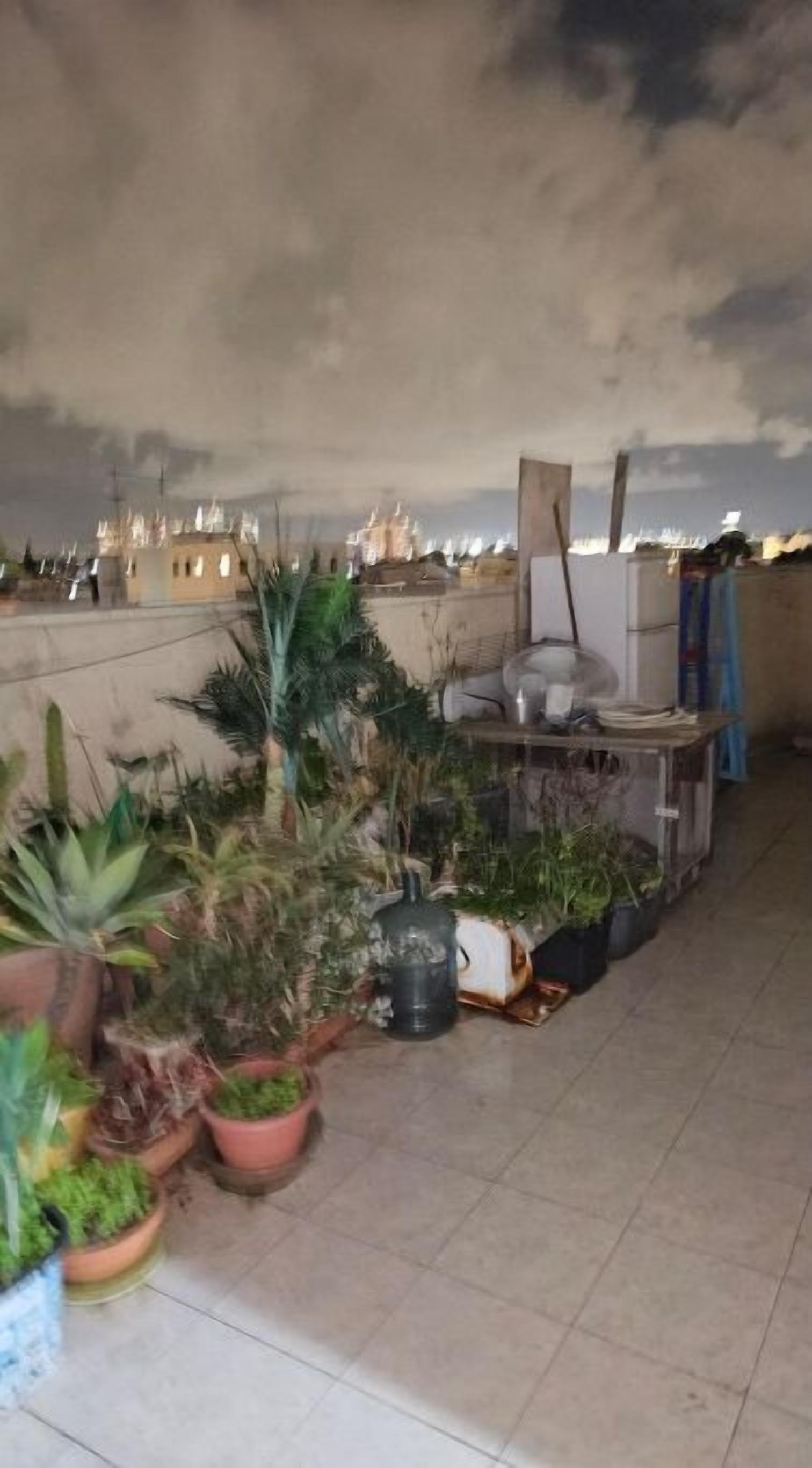 Een terras op het dak met planten in potten, een barbecue en uitzicht op verre gebouwen onder een bewolkte lucht.