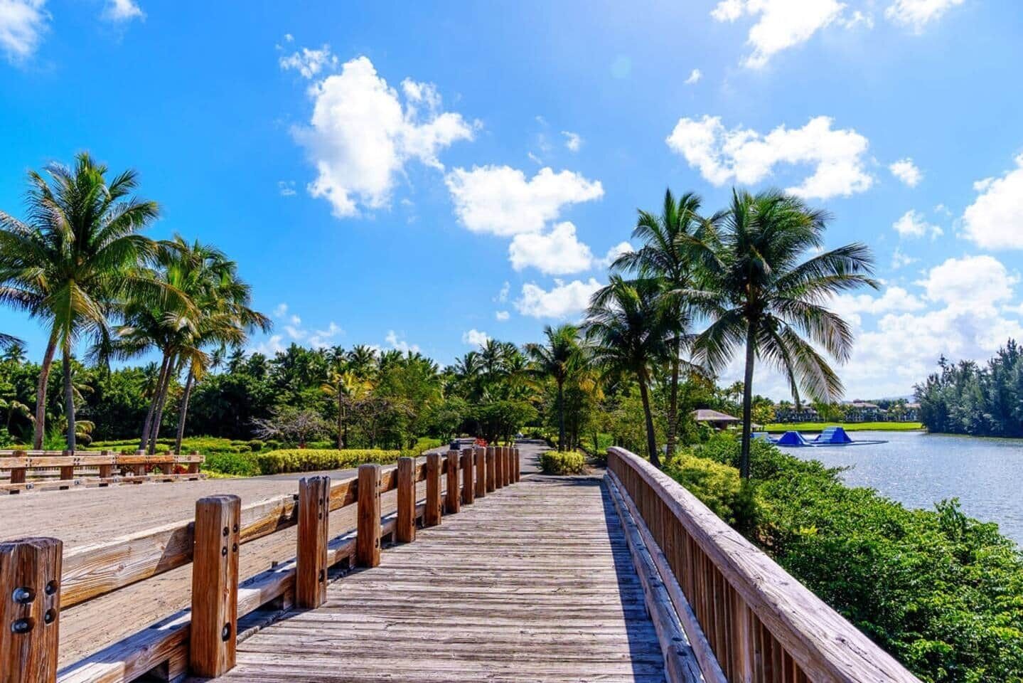 Un paseo marítimo de madera que conduce a una masa de agua, rodeado de palmeras y vegetación.