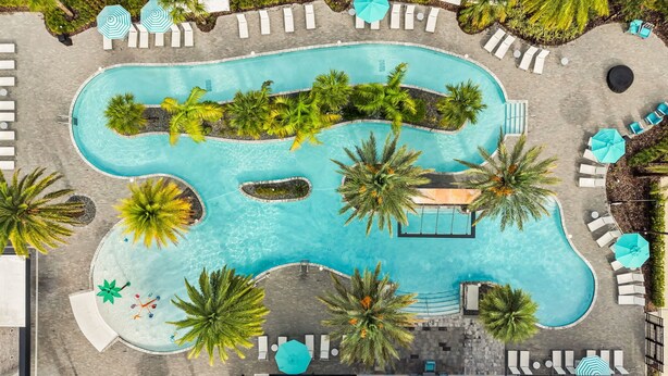 An aerial view of a pool with surrounding lounge areas, palm trees, and umbrellas.