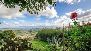 A garden with a cactus, a rose bush, and a view of distant hills.