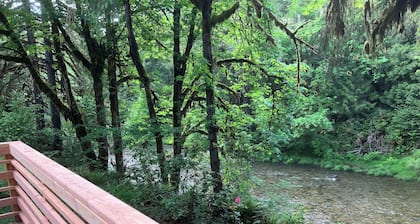 Stargazerâs Creekside Retreat on Big Fall Creek