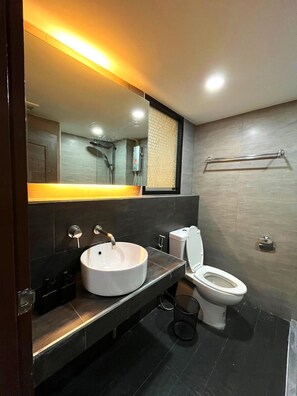 Ducha, artículos de tocador ecológicos, secador de pelo, bidet