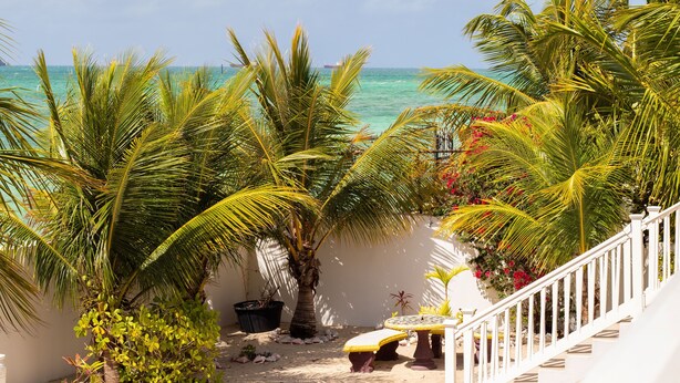 A coastal view with a staircase leading to a balcony overlooking the sea, surrounded by palm trees and potted plants. - Tangerine Sunsets Pomelo East (Nassau Bahamas)