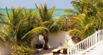 Tangerine Sunsets Pomelo East