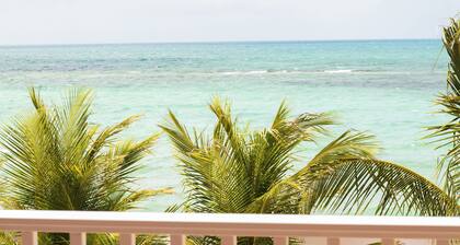 Tangerine Sunsets Pomelo East