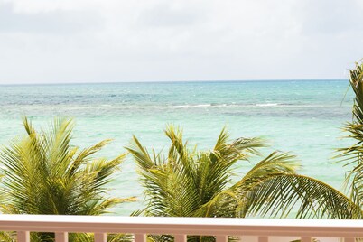 Tangerine Sunsets Pomelo East