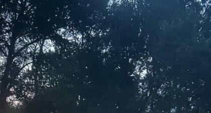 Yurt on Rock Creek in Joliet, Montana