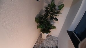 Appartement | Intérieur