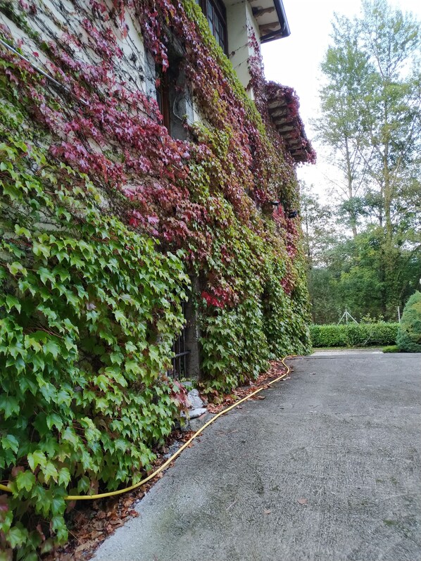 Un bâtiment dont la façade en pierre est partiellement recouverte de feuillage vert et rouge.