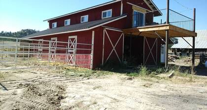 The Hitching Post in Alton