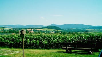 House | Miscellaneous