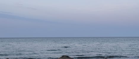 Ranta