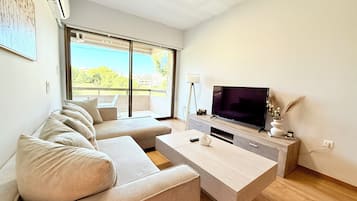 Televisión de pantalla plana