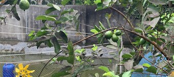 Enchanting 2-bedroom duplex family friendly apartment in Barishal