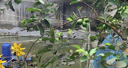 Enchanting 2-bedroom duplex family friendly apartment in Barishal