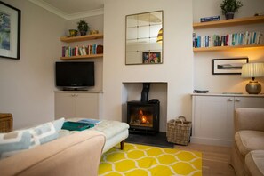 Smart TV, caminetto, libri