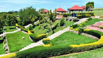 Vườn