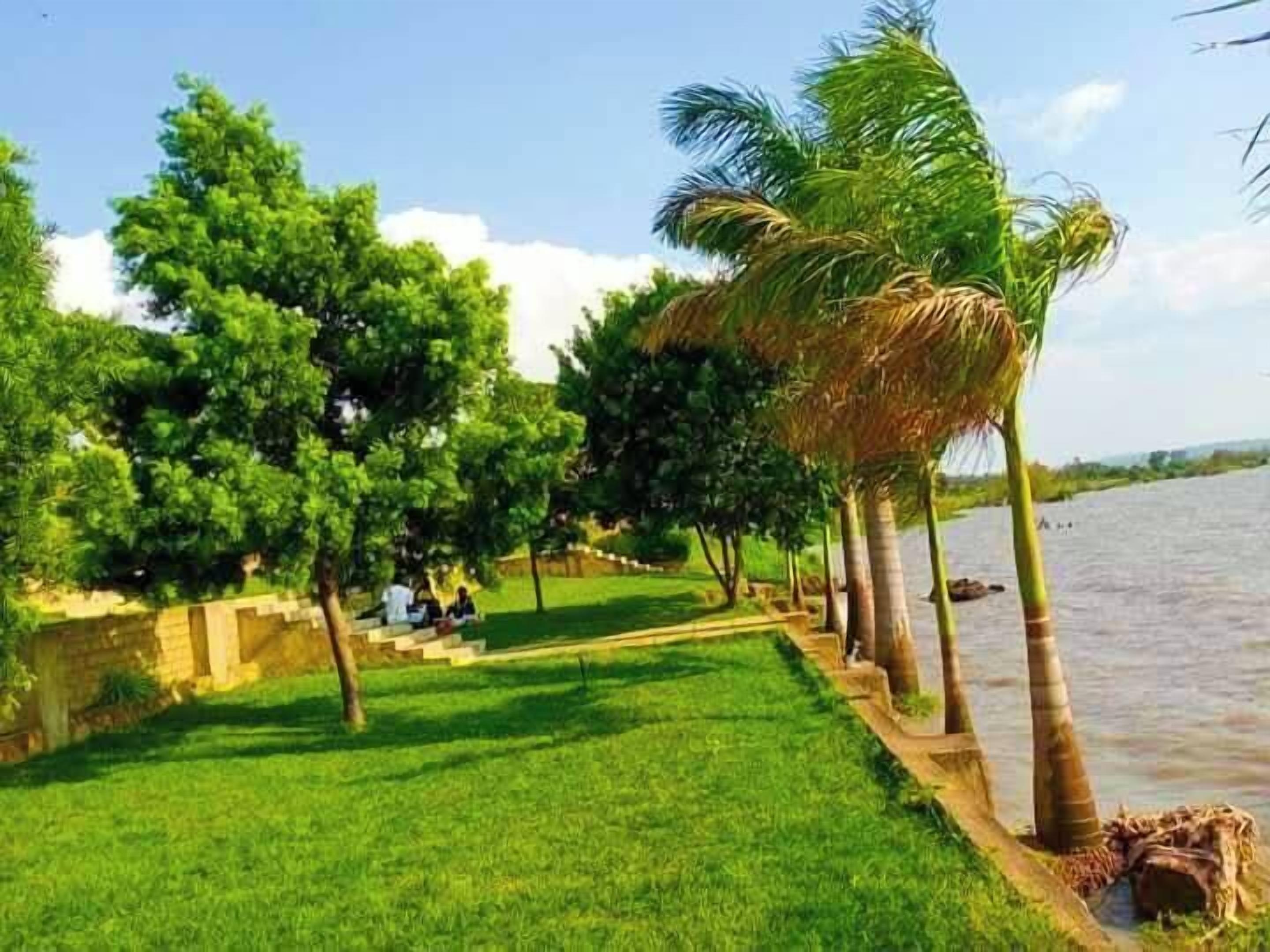 A riverside walkway with palm trees, a grassy area, and steps leading down to the water.