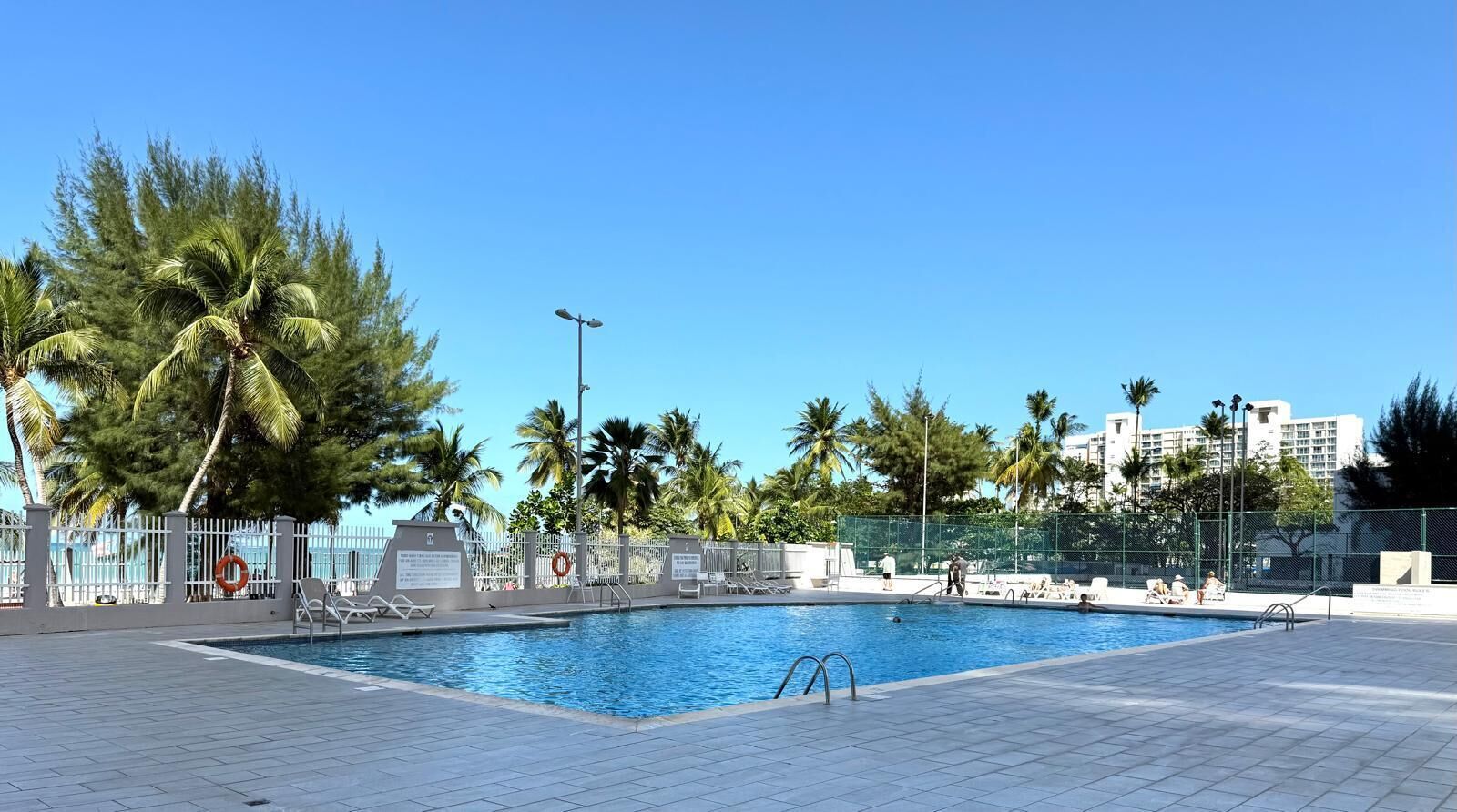 Ein Swimmingpool mit Liegestühlen und Palmen.