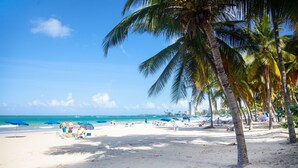 Una playa con palmeras, sombrillas y gente.