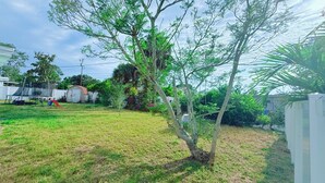 Patio con un árbol, un trampolín y un cobertizo.