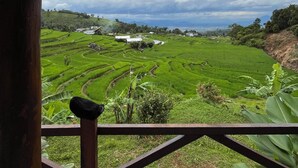 A view from a wooden balcony overlooking terraced rice fields, with a cloudy sky above.