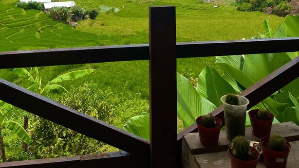 A view from a balcony with a wooden railing, overlooking lush green rice paddies and a few scattered houses in the distance under a partly cloudy sky.