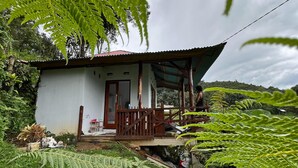A small white house with a porch, surrounded by lush green ferns and trees.