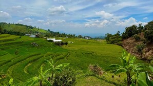A landscape with terraced fields and a few buildings in the distance.
