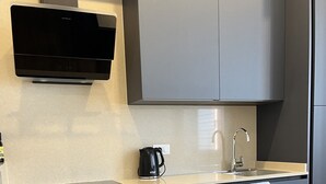 A modern kitchen with grey cabinets, a built-in microwave, a kettle, and a sink. - Blue Apartment - Verona & Lake (San Vito Al Mantico)