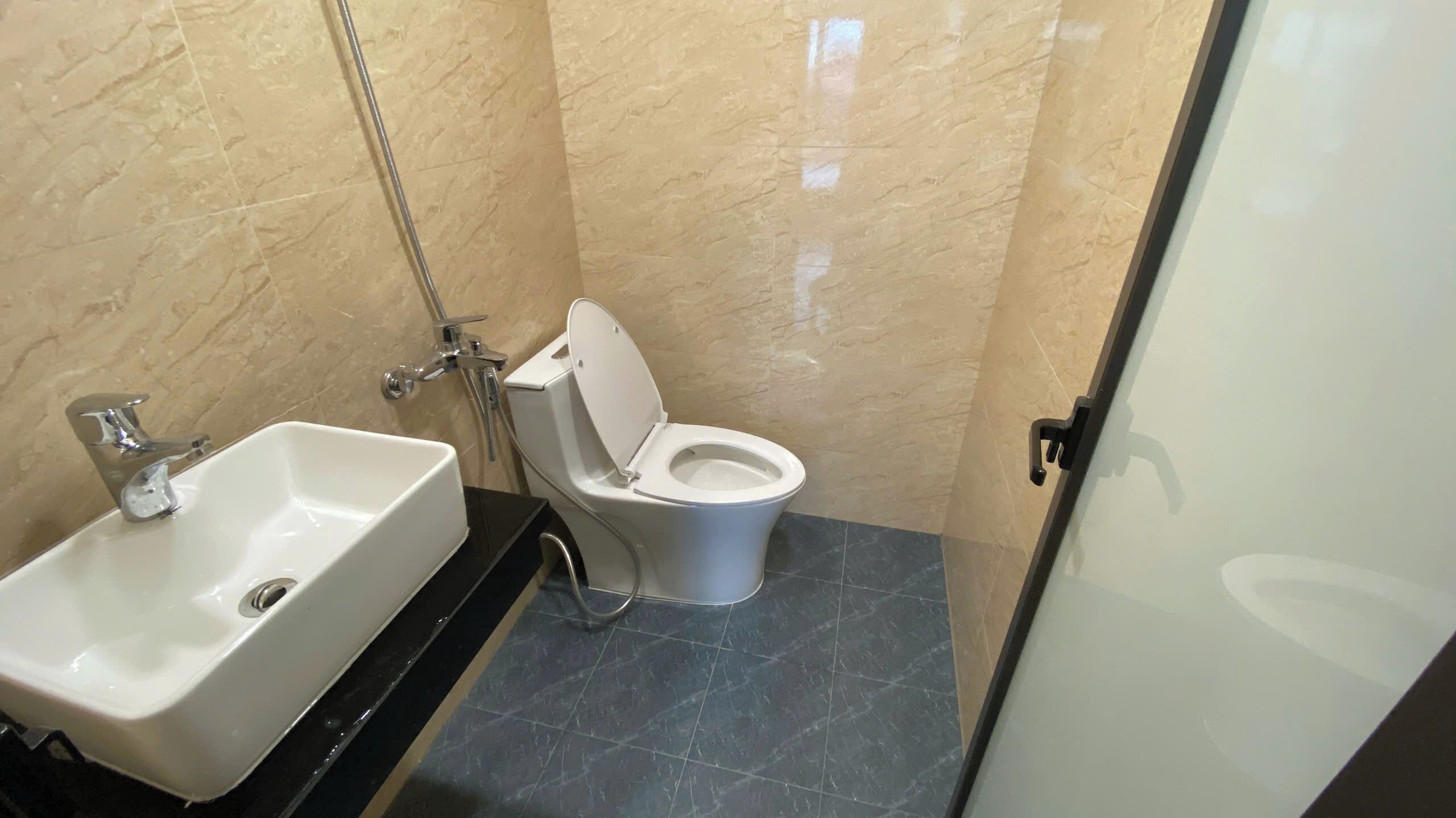Een badkamer met een wit wastafel, toilet en douche.