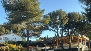 Il s’agit d’une propriété résidentielle dotée d’une allée pavée, d’un chemin en pierre et d’une variété de plantes et d’arbres.