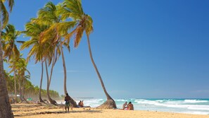 Une plage avec des palmiers et des gens.