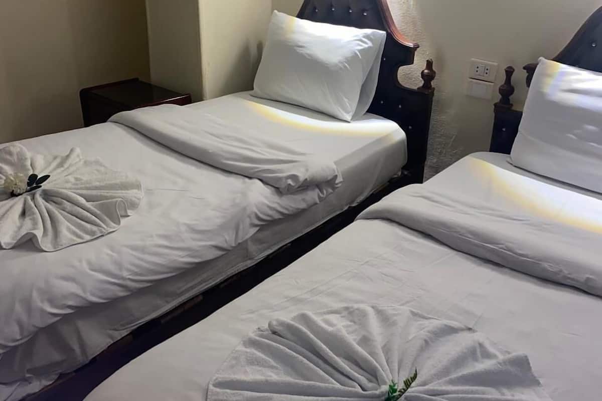 Two single beds with white linens and decorative towels.