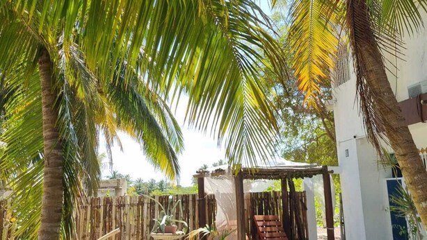 A pool area with palm trees, a wooden deck, and a small gazebo. - Casa Columpios playa alberca terraza familiar (Progreso)