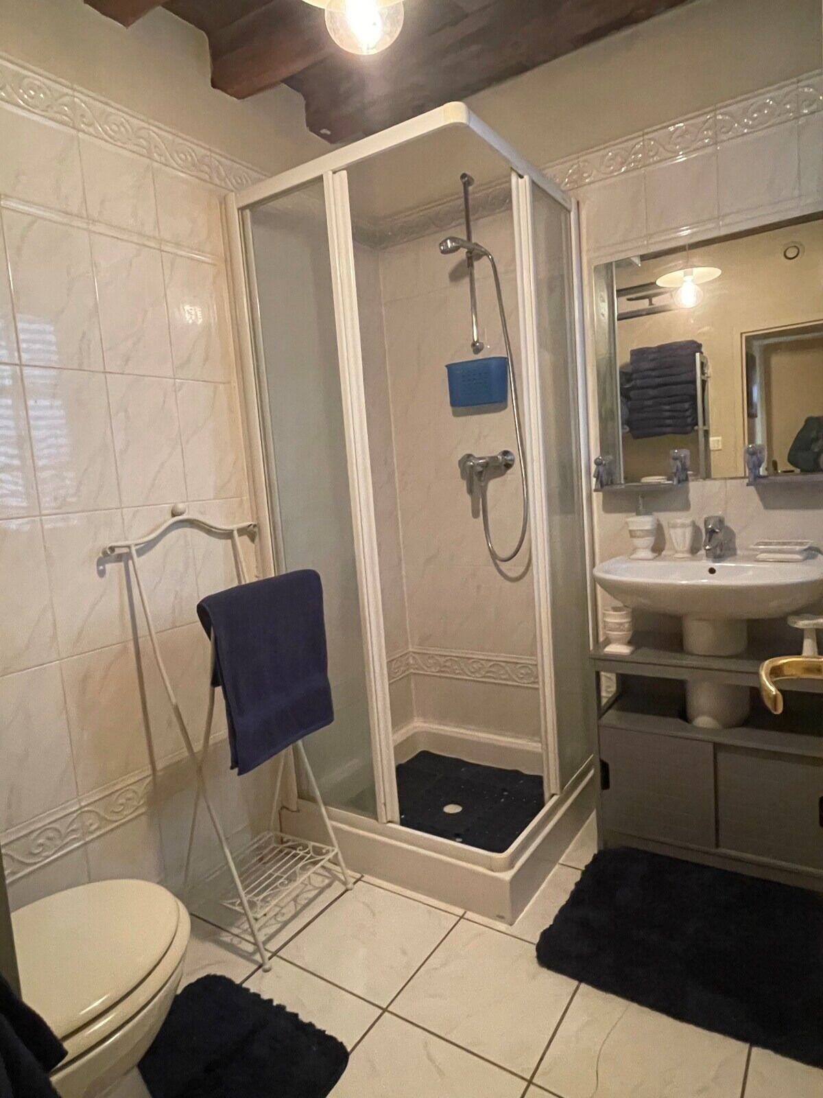 Doccia, asciugacapelli, asciugamani, carta igienica