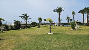 A well-maintained grassy area with palm trees and a small pavilion, likely part of a resort or hotel property.