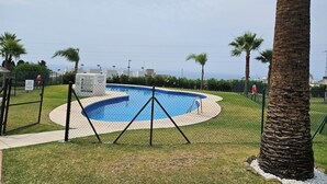 A swimming pool surrounded by a fence, palm trees, and a view of the ocean.