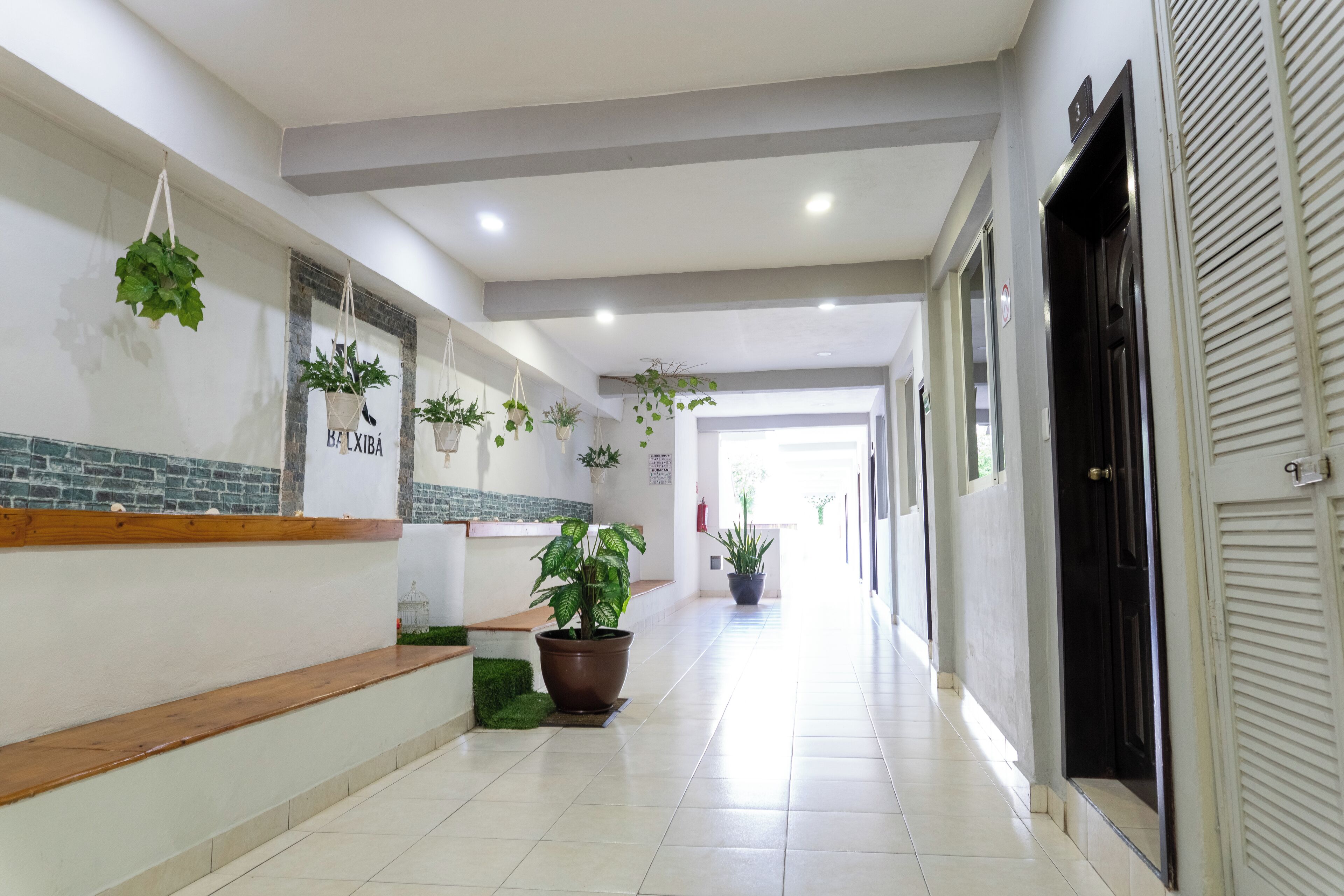 Photo - Balxiba Playa del Carmen Downtown Hotel Boutique