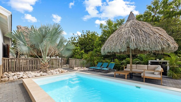 A swimming pool with lounge chairs and a thatched umbrella. - Villa Troupial- Jan Thiel (Jan Thiel)